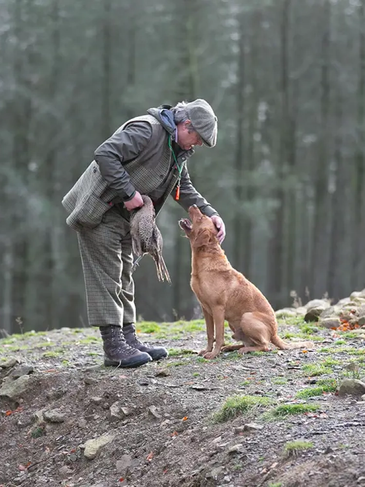 Puppy Gundog Training
